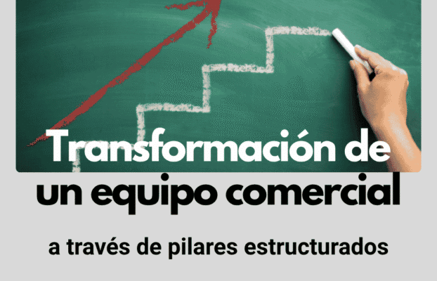 Transformación de un equipo comercial a través de pilares estructurados